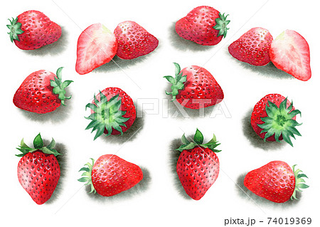アナログ水彩いちご アナログ水彩いちご 74019369