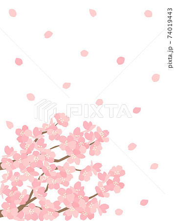 Sakura 146 Sakura Flower Card - Stock Illustration [74019443] - PIXTA