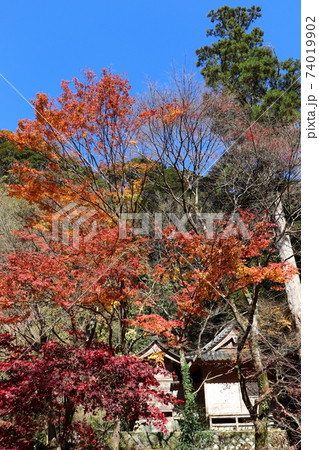 秋の八女津媛神社 秋の八女津媛神社 74019902