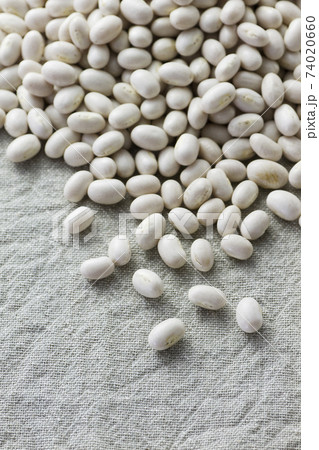 白インゲン豆9 白インゲン豆9 74020660