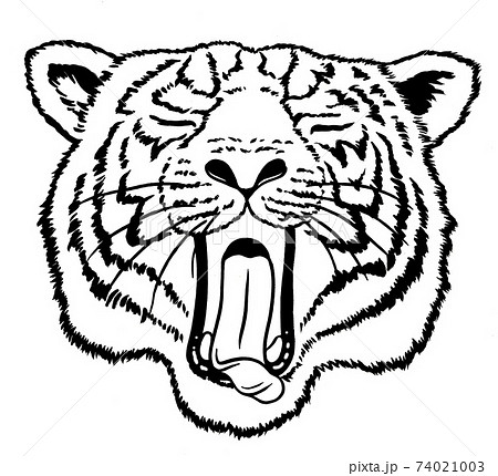 22年 寅年 年賀状用虎イラストのイラスト素材