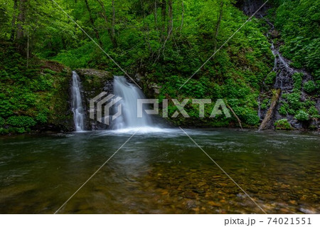 初夏の名寄市 新緑と晨光の滝 74021551