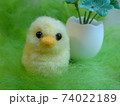 羊毛フェルトのひよこと卵 74022189