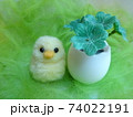羊毛フェルトのひよこと卵 74022191