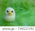 羊毛フェルトのひよこ 74022192