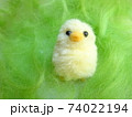 羊毛フェルトのひよこ 74022194