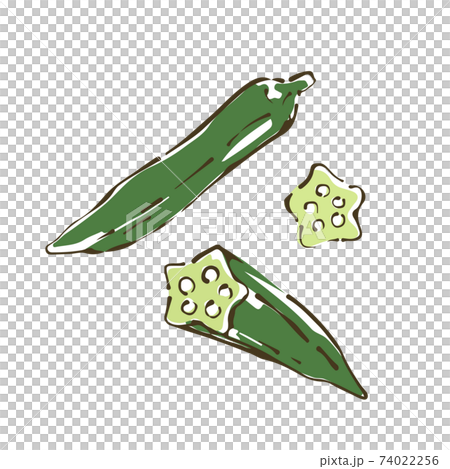 秋葵蔬菜的手繪素描圖 74022256