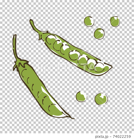 Sayaendo蔬菜手繪素描圖 74022259