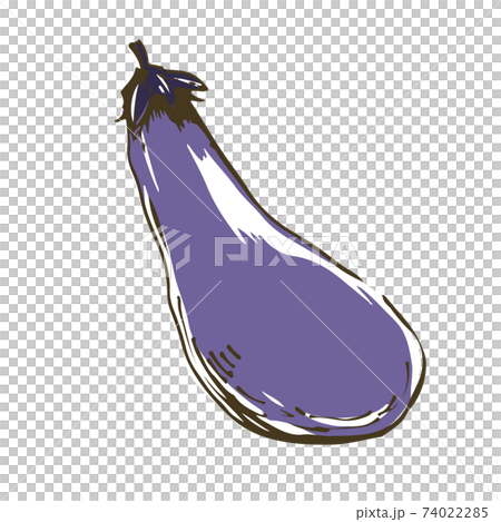 ナス　野菜の手描きスケッチイラスト 74022285