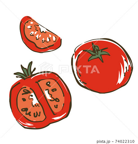 トマト 野菜の手描きスケッチイラストのイラスト素材
