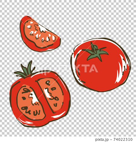 トマト 野菜の手描きスケッチイラストのイラスト素材