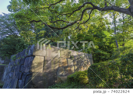 皇居東御苑 旧江戸城 二の丸 三の丸 皇居附属庭園 石垣 皇居東御苑 旧江戸城 二の丸 三の丸 皇居附属庭園 石垣 74022624