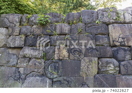 皇居東御苑 旧江戸城 二の丸 三の丸 皇居附属庭園 石垣 皇居東御苑 旧江戸城 二の丸 三の丸 皇居附属庭園 石垣 74022627