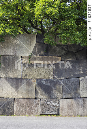皇居東御苑 旧江戸城 二の丸 三の丸 皇居附属庭園 石垣 皇居東御苑 旧江戸城 二の丸 三の丸 皇居附属庭園 石垣 74022637