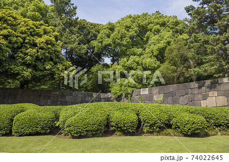 皇居東御苑　旧江戸城　二の丸　三の丸　皇居附属庭園　石垣 74022645
