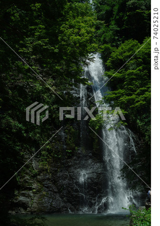 明治の森箕面国定公園・箕面の滝 74025210