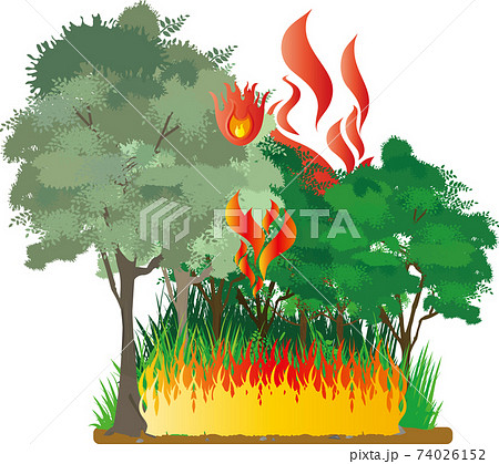 森林火災 野火のイメージのイラスト素材