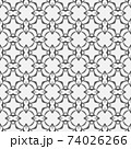 Ethnic hand painted pattern. Black and white 74026266