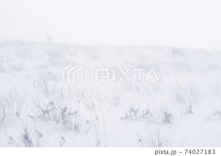 地吹雪の風景　 74027183
