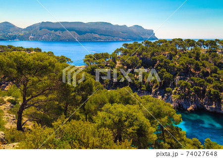 Calanques de Port Pin bay in Cassis near Marseille, France 74027648
