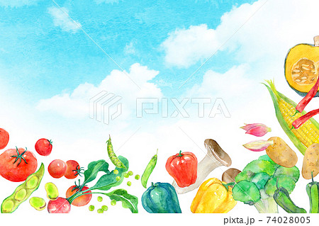 水彩イラスト　緑黄色野菜 74028005