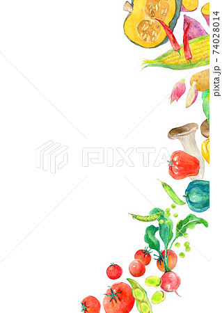 水彩イラスト　緑黄色野菜 74028014