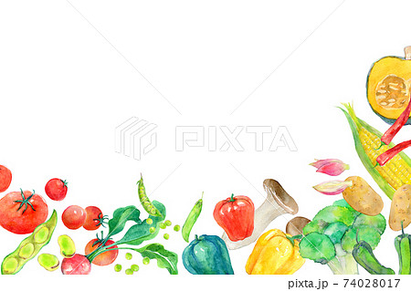 水彩イラスト　緑黄色野菜 74028017