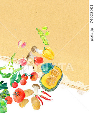 水彩イラスト　緑黄色野菜 74028031