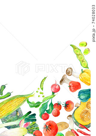 水彩イラスト　緑黄色野菜 74028033