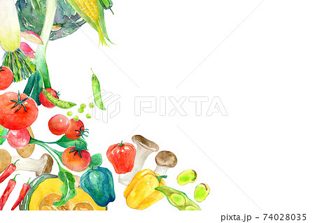 水彩イラスト　緑黄色野菜 74028035