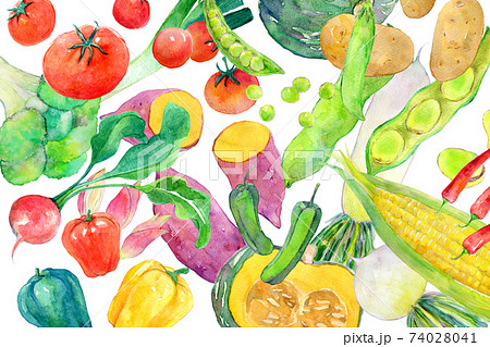 水彩イラスト 緑黄色野菜 水彩イラスト 緑黄色野菜 74028041