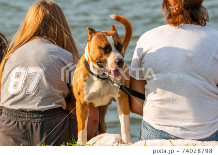 Family with dog relaxing in a nature Family with dog relaxing in a nature 74028798