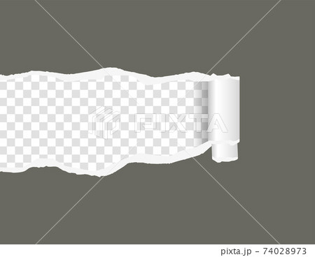 Ripped paper. Torn, ripped pieces. Vector illustration. Ripped paper. Torn, ripped pieces. Vector illustration. 74028973