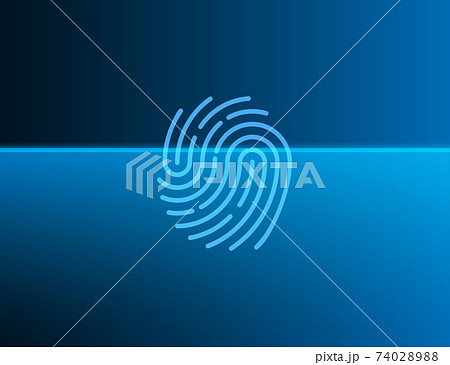Biometric data, fingerprint, scan icon. Vector illustration, flat design. 74028988