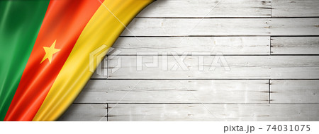 Cameroon flag on old white wall banner 74031075
