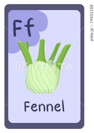 Alphabet education flash card, Letter F - fennel Alphabet education flash card, Letter F - fennel 74032288