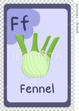 Alphabet education flash card, Letter F - fennel Alphabet education flash card, Letter F - fennel 74032288