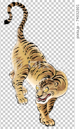 狩野探幽の虎-カラー 狩野探幽の虎-カラー 74032801