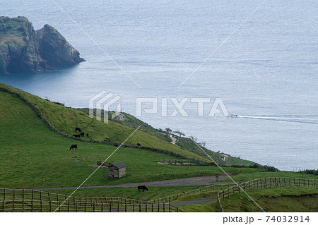 アカハゲ山から眺めた日本海と放牧場の景色 74032914