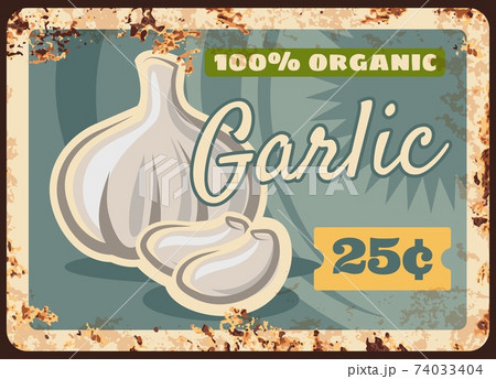 Garlic rusty metal plate, vegetables farm market 74033404