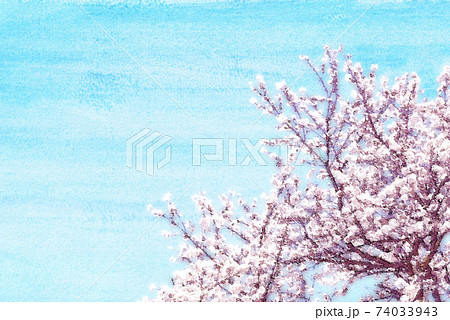桜 水彩 背景 桜 水彩 背景 74033943