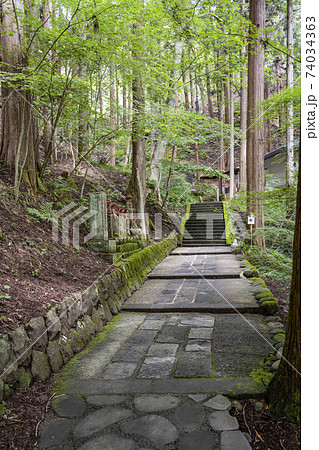 安楽寺(上田市)国宝八角三重塔への参道 安楽寺(上田市)国宝八角三重塔への参道 74034363
