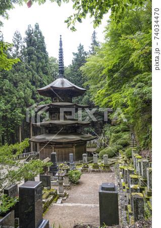 安楽寺(上田市)国宝八角三重塔 安楽寺(上田市)国宝八角三重塔 74034470