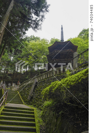 安楽寺(上田市)国宝八角三重塔 安楽寺(上田市)国宝八角三重塔 74034485