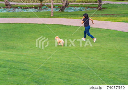 Young woman jogging with her golden puppy in the park Young woman jogging with her golden puppy in the park 74037560