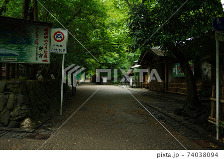 京都嵯峨野・竹林の小径 74038094