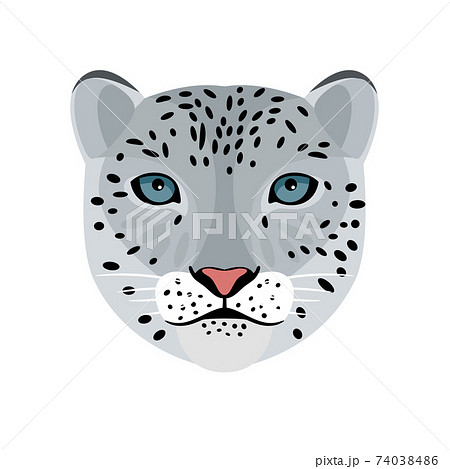Snow leopard head Snow leopard head 74038486