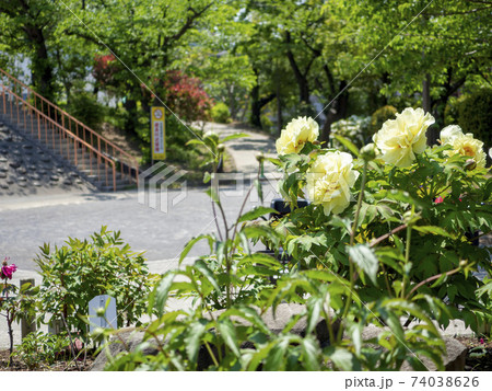 牡丹町公園・東京都江東区 牡丹町公園・東京都江東区 74038626