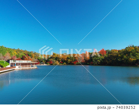 紅葉の愛・地球博記念公園のかえで池と水辺の露台 紅葉の愛・地球博記念公園のかえで池と水辺の露台 74039252