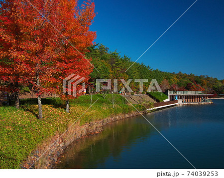 紅葉の愛・地球博記念公園のかえで池と水辺の露台 紅葉の愛・地球博記念公園のかえで池と水辺の露台 74039253